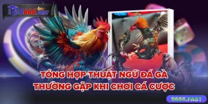 Thuật ngữ đá gà